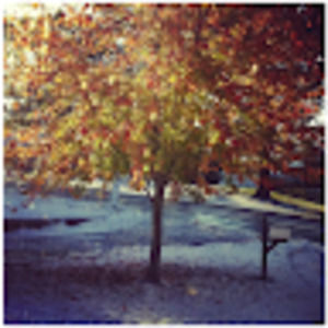 Meet your Posher, Rylee